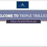 Cleaner Manpower Supply Company in Dubai, UAE