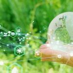 Asset Management Solutions in Ireland